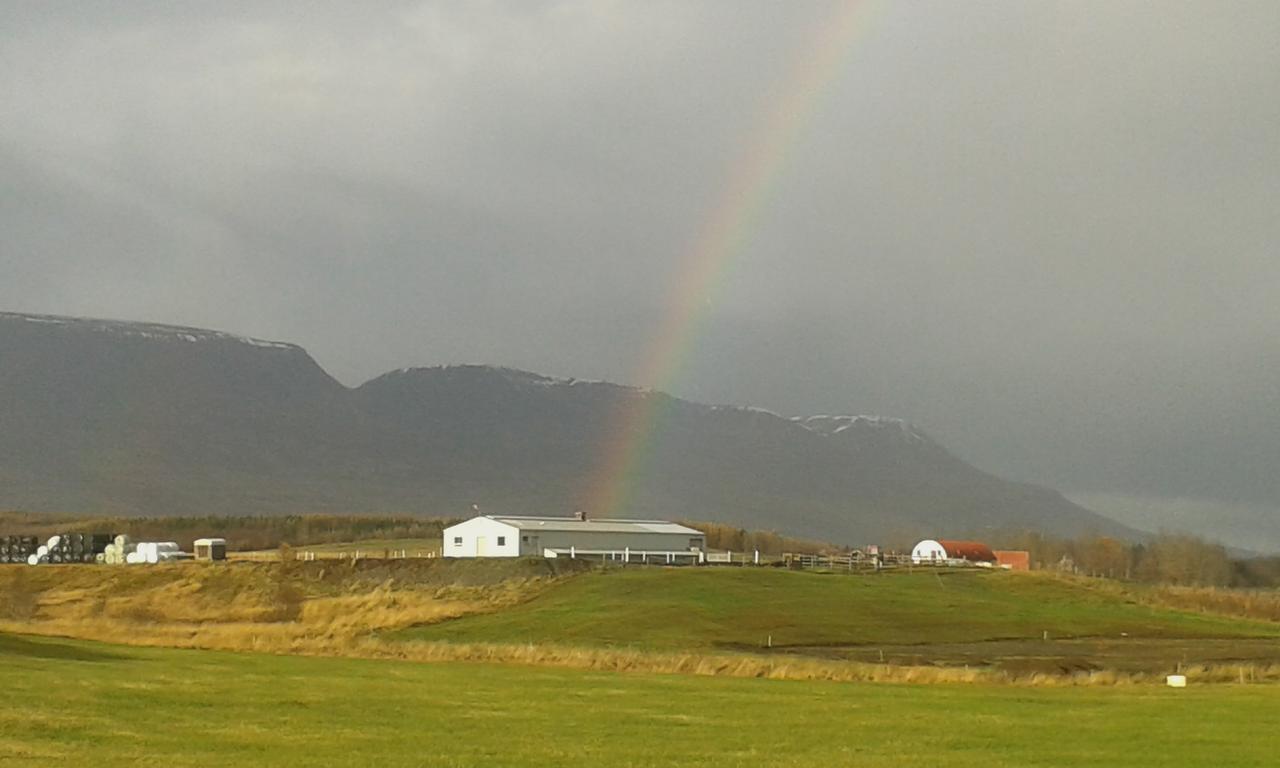 Glaesibaer 2 Guesthouse And Horsefarm Akureyri Exterior foto