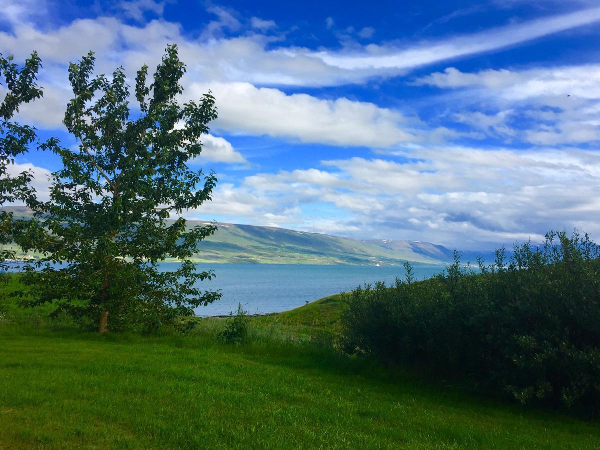 Glaesibaer 2 Guesthouse And Horsefarm Akureyri Exterior foto